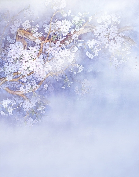 B-y-5169.jpg撮影用背景布★多サイズ対応(0.5ｍ x 0.9～3ｍ x 6m）★