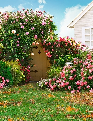 B-y-5227.jpg撮影用背景布★多サイズ対応(0.5ｍ x 0.9～3ｍ x 6m）★