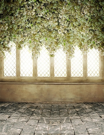 B-y-5229.jpg撮影用背景布★多サイズ対応(0.5ｍ x 0.9～3ｍ x 6m）★