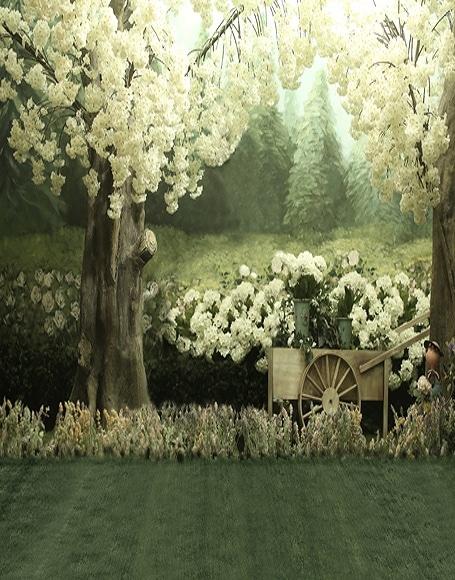 B-y-5241.jpg撮影用背景布★多サイズ対応(0.5ｍ x 0.9～3ｍ x 6m）★