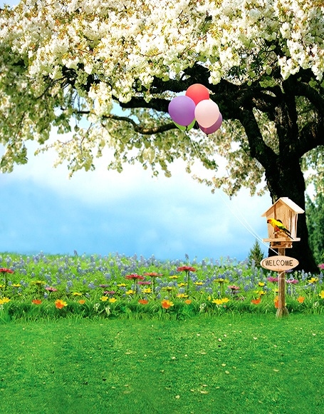 B-y-5242.jpg撮影用背景布★多サイズ対応(0.5ｍ x 0.9～3ｍ x 6m）★