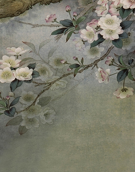 B-y-5260.jpg撮影用背景布★多サイズ対応(0.5ｍ x 0.9～3ｍ x 6m）★