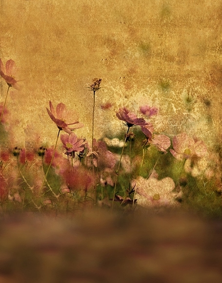 B-y-5261.jpg撮影用背景布★多サイズ対応(0.5ｍ x 0.9～3ｍ x 6m）★