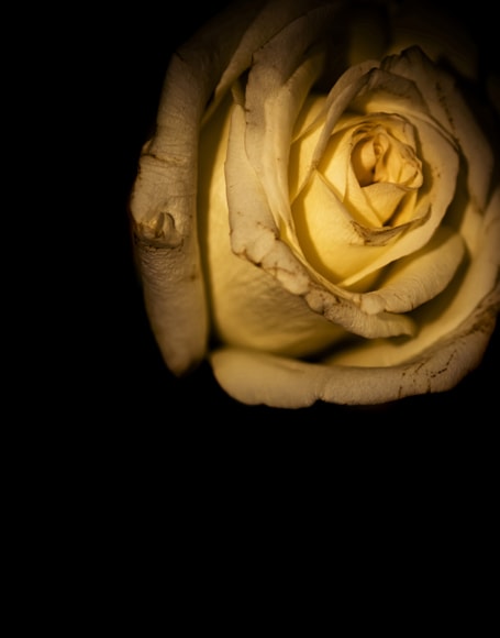 B-y-5273.jpg撮影用背景布★多サイズ対応(0.5ｍ x 0.9～3ｍ x 6m）★