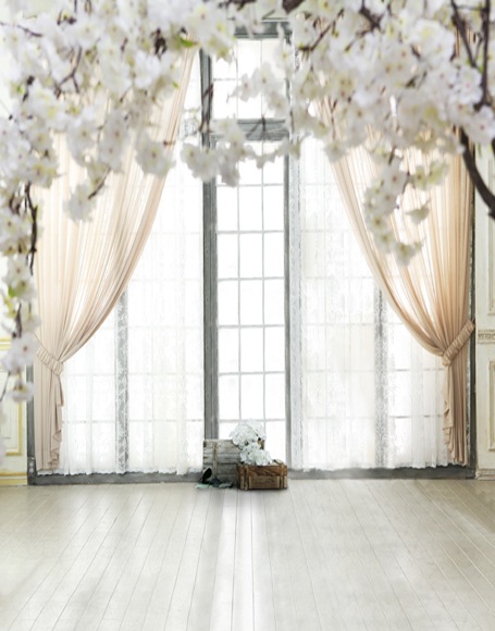 B-y-5503.jpg撮影用背景布★多サイズ対応(0.5ｍ x 0.9～3ｍ x 6m）★