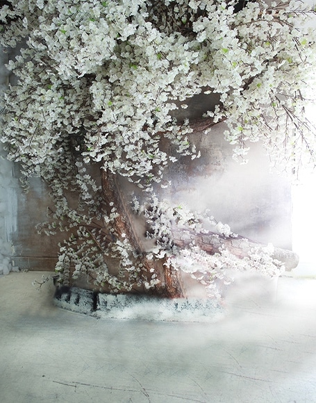 B-y-5504.jpg撮影用背景布★多サイズ対応(0.5ｍ x 0.9～3ｍ x 6m）★