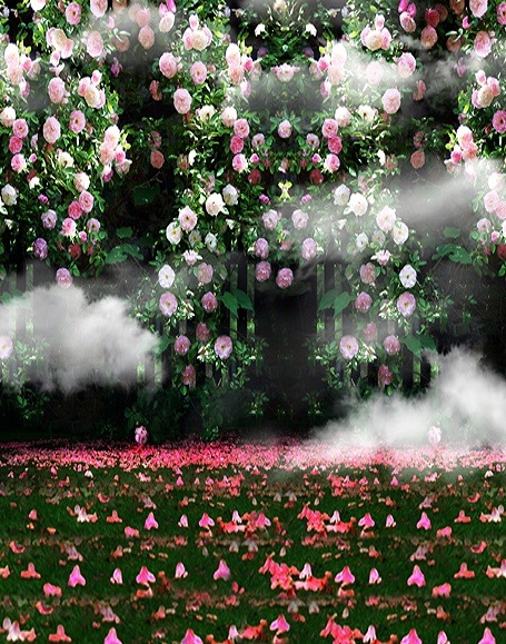 B-y-5595.jpg撮影用背景布★多サイズ対応(0.5ｍ x 0.9～3ｍ x 6m）★