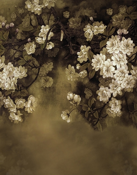 B-y-5611.jpg撮影用背景布★多サイズ対応(0.5ｍ x 0.9～3ｍ x 6m）★