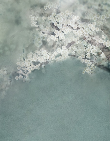 B-y-5640.jpg撮影用背景布★多サイズ対応(0.5ｍ x 0.9～3ｍ x 6m）★