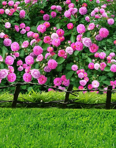 B-y-5703.jpg撮影用背景布★多サイズ対応(0.5ｍ x 0.9～3ｍ x 6m）★