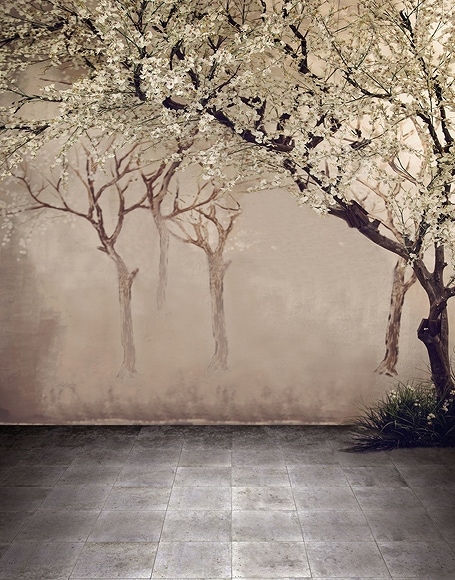 B-y-5782.jpg撮影用背景布★多サイズ対応(0.5ｍ x 0.9～3ｍ x 6m）★