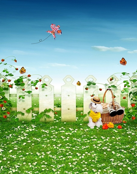 B-y-5786.jpg撮影用背景布★多サイズ対応(0.5ｍ x 0.9～3ｍ x 6m）★