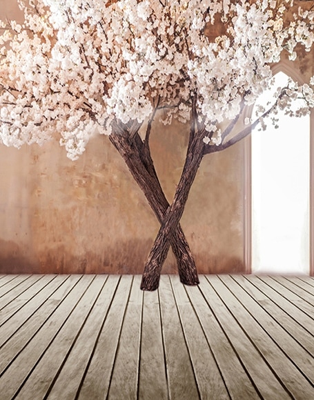 B-y-5825.jpg撮影用背景布★多サイズ対応(0.5ｍ x 0.9～3ｍ x 6m）★
