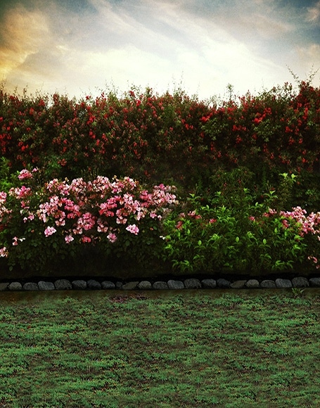 B-y-5833.jpg撮影用背景布★多サイズ対応(0.5ｍ x 0.9～3ｍ x 6m）★