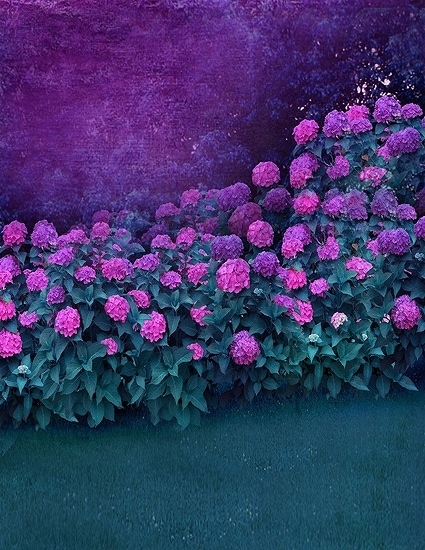 B-y1094.jpg撮影用背景布★多サイズ対応(0.5ｍ x 0.9～3ｍ x 6m）★