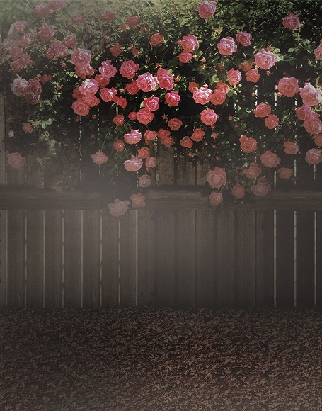 B-y2371.jpg撮影用背景布★多サイズ対応(0.5ｍ x 0.9～3ｍ x 6m）★