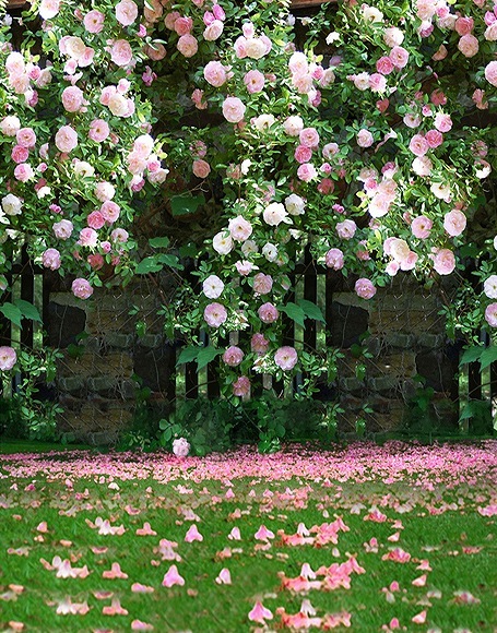 B-y2386.jpg撮影用背景布★多サイズ対応(0.5ｍ x 0.9～3ｍ x 6m）★