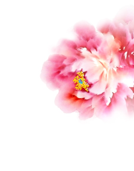 B-y2587.jpg撮影用背景布★多サイズ対応(0.5ｍ x 0.9～3ｍ x 6m）★