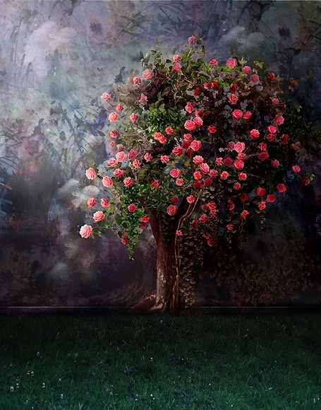 B-y2616.jpg撮影用背景布★多サイズ対応(0.5ｍ x 0.9～3ｍ x 6m）★