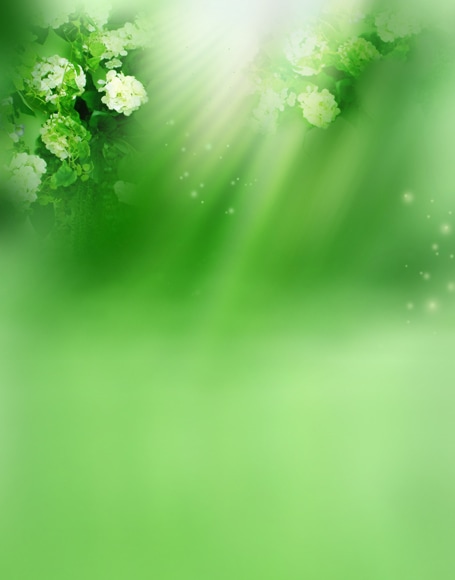 B-y2649.jpg撮影用背景布★多サイズ対応(0.5ｍ x 0.9～3ｍ x 6m）★