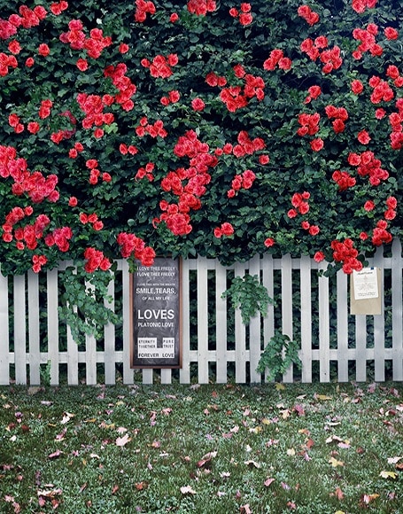 B-y2668.jpg撮影用背景布★多サイズ対応(0.5ｍ x 0.9～3ｍ x 6m）★