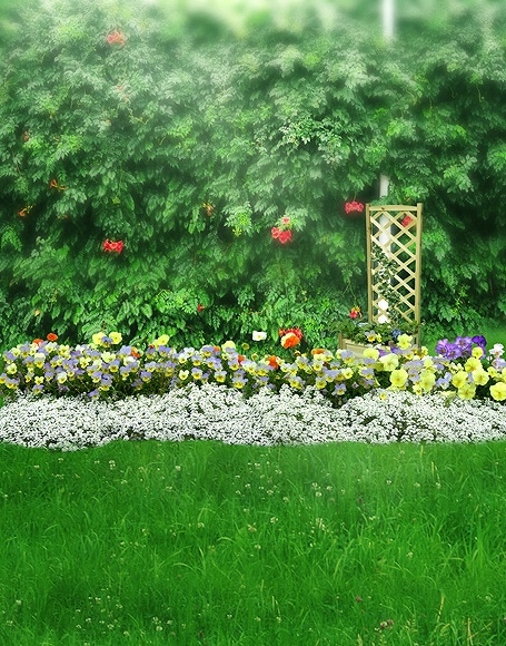 B-y2759.jpg撮影用背景布★多サイズ対応(0.5ｍ x 0.9～3ｍ x 6m）★