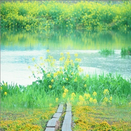 B-zz-6015.jpg撮影用背景布★多サイズ対応(0.5ｍ x 0.9～3ｍ x 6m）★