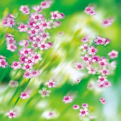 B-zz-6736.jpg撮影用背景布★多サイズ対応(0.5ｍ x 0.9～3ｍ x 6m）★