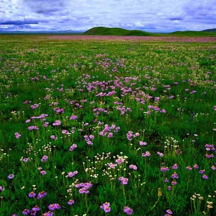 B-zz-6912.jpg撮影用背景布★多サイズ対応(0.5ｍ x 0.9～3ｍ x 6m）★