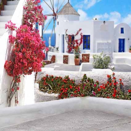 B-zz-7021.jpg撮影用背景布★多サイズ対応(0.5ｍ x 0.9～3ｍ x 6m）★