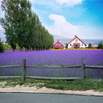 B-zz-7148.jpg撮影用背景布★多サイズ対応(0.5ｍ x 0.9～3ｍ x 6m）★