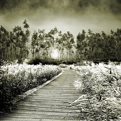 B-4126撮影用背景布★多サイズ対応(0.5ｍ x 0.9～3ｍ x 7m）★