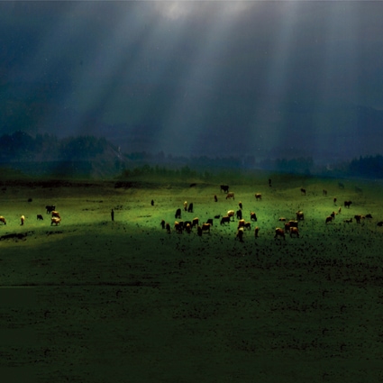 B-5753撮影用背景布★多サイズ対応(0.5ｍ x 0.9～3ｍ x 7m）★