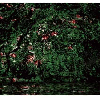 B-5883撮影用背景布★多サイズ対応(0.5ｍ x 0.9～3ｍ x 7m）★