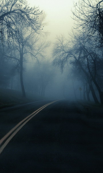 B-y1872撮影用背景布★多サイズ対応(0.5ｍ x 0.9～3ｍ x 7m）★