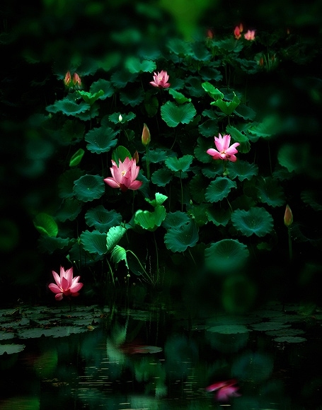 B-y2284撮影用背景布★多サイズ対応(0.5ｍ x 0.9～3ｍ x 7m）★