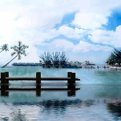 B-5393撮影用背景布★多サイズ対応(0.5ｍ x 0.9～3ｍ x 7m）★