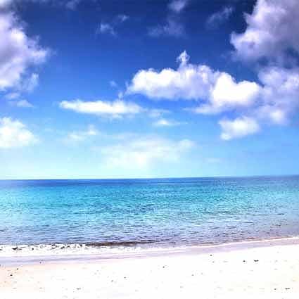 B-7249撮影用背景布★多サイズ対応(0.5ｍ x 0.9～3ｍ x 7m）★