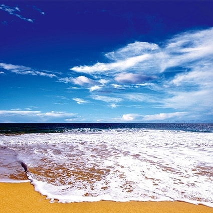 B-7260撮影用背景布★多サイズ対応(0.5ｍ x 0.9～3ｍ x 7m）★