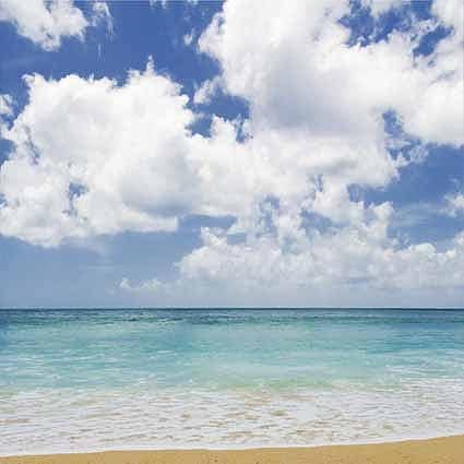 B-7306撮影用背景布★多サイズ対応(0.5ｍ x 0.9～3ｍ x 7m）★