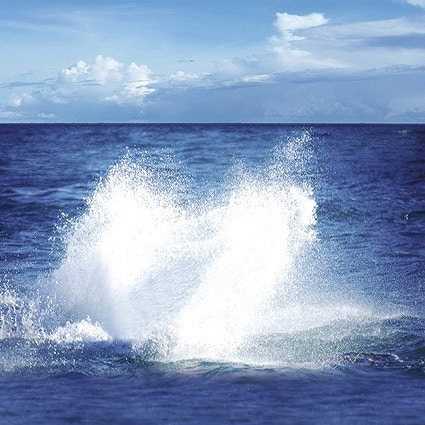 B-7347撮影用背景布★多サイズ対応(0.5ｍ x 0.9～3ｍ x 7m）★