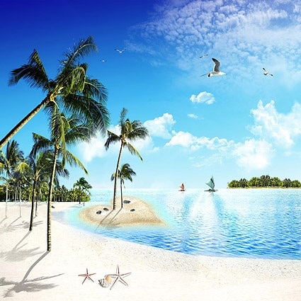 B-7691撮影用背景布★多サイズ対応(0.5ｍ x 0.9～3ｍ x 7m）★