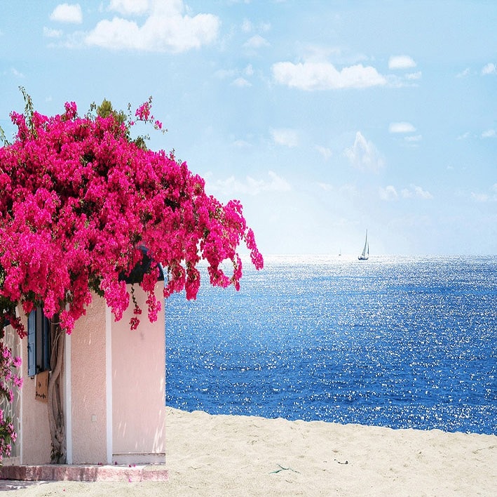 B-7847撮影用背景布★多サイズ対応(0.5ｍ x 0.9～3ｍ x 7m）★