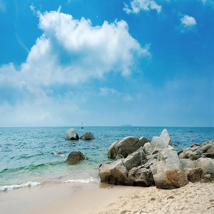 B-7896撮影用背景布★多サイズ対応(0.5ｍ x 0.9～3ｍ x 7m）★