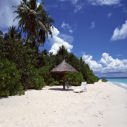 B-S6095撮影用背景布★多サイズ対応(0.5ｍ x 0.9～3ｍ x 7m）★