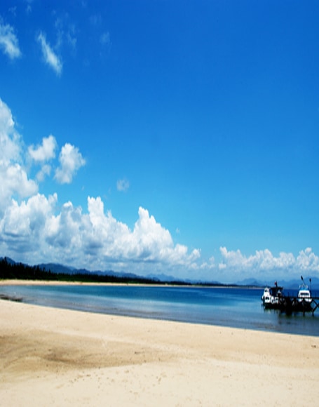 B-y-3015撮影用背景布★多サイズ対応(0.5ｍ x 0.9～3ｍ x 7m）★