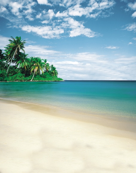 B-y-3025撮影用背景布★多サイズ対応(0.5ｍ x 0.9～3ｍ x 7m）★