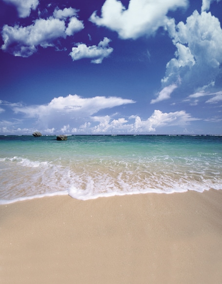 B-y-3036撮影用背景布★多サイズ対応(0.5ｍ x 0.9～3ｍ x 7m）★