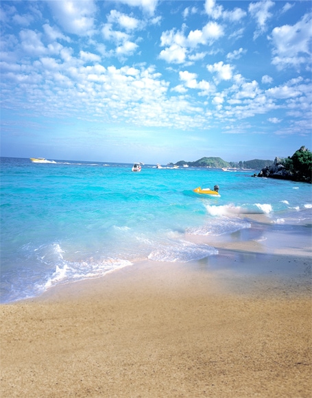 B-y-5037撮影用背景布★多サイズ対応(0.5ｍ x 0.9～3ｍ x 7m）★