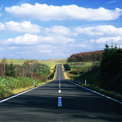 B-1658撮影用背景布★多サイズ対応(0.5ｍ x 0.9～3ｍ x 7m）★